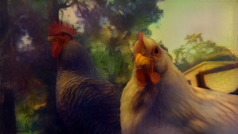 Rooster and Hen 3