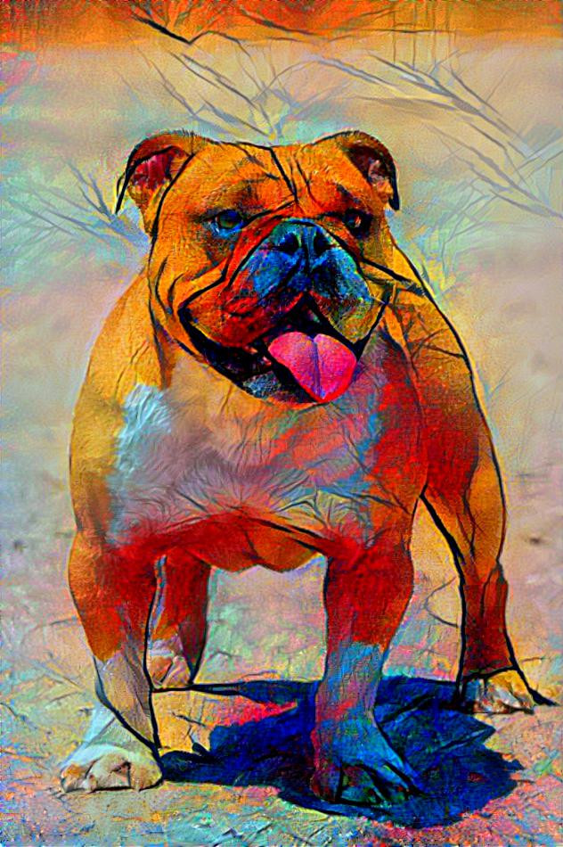 Colorful bulldog