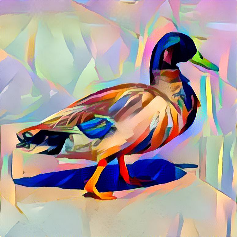 Colorful duck