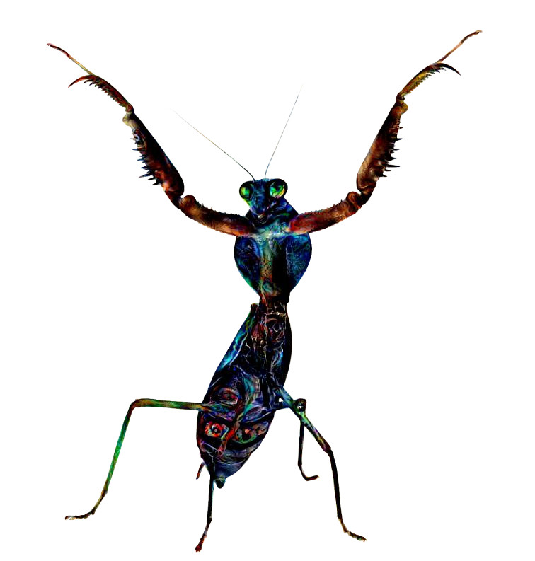 Mantid Draft 3 — I have come… to dance!