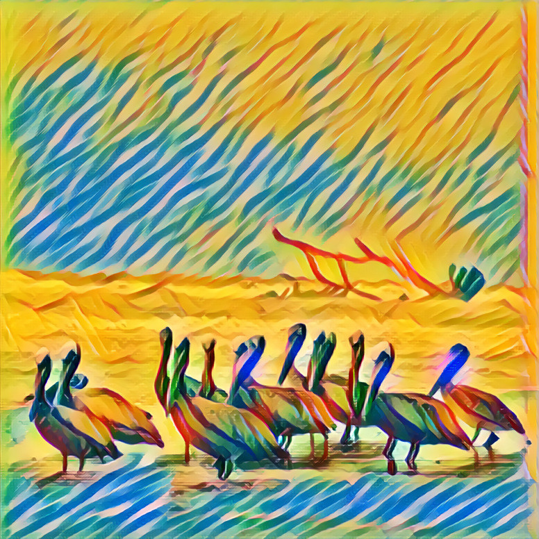Pelicans 1