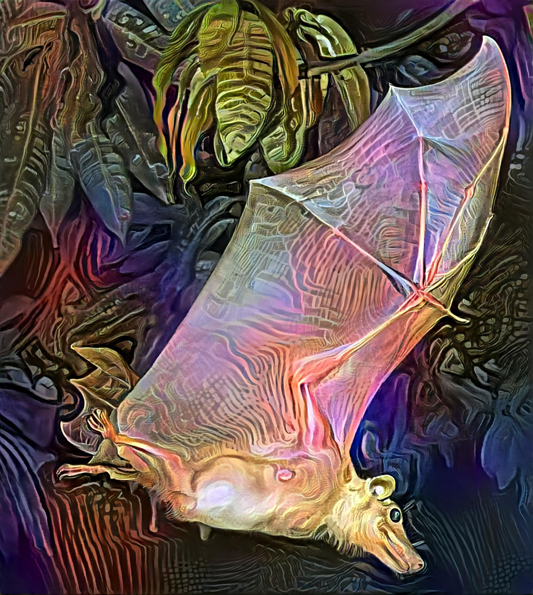 Bat in Flight 