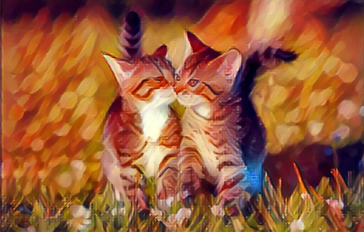 Lovely Cats