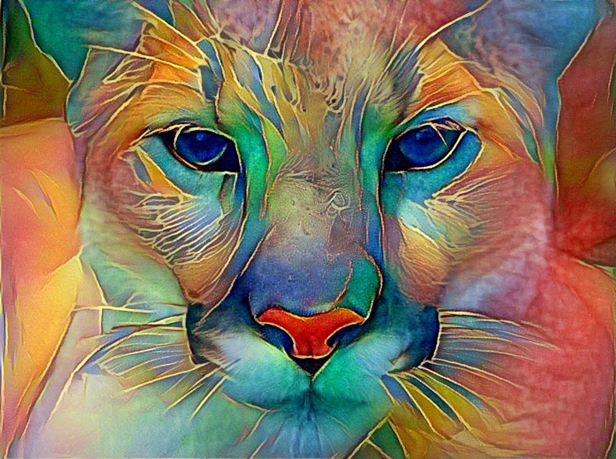 Cougar Face