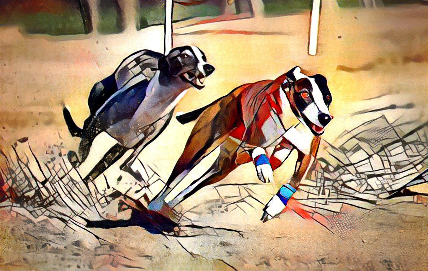 The Race (Image by Herbert Aust from Pixabay)