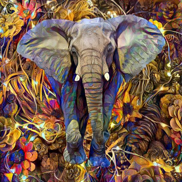 Colorful Elephant 