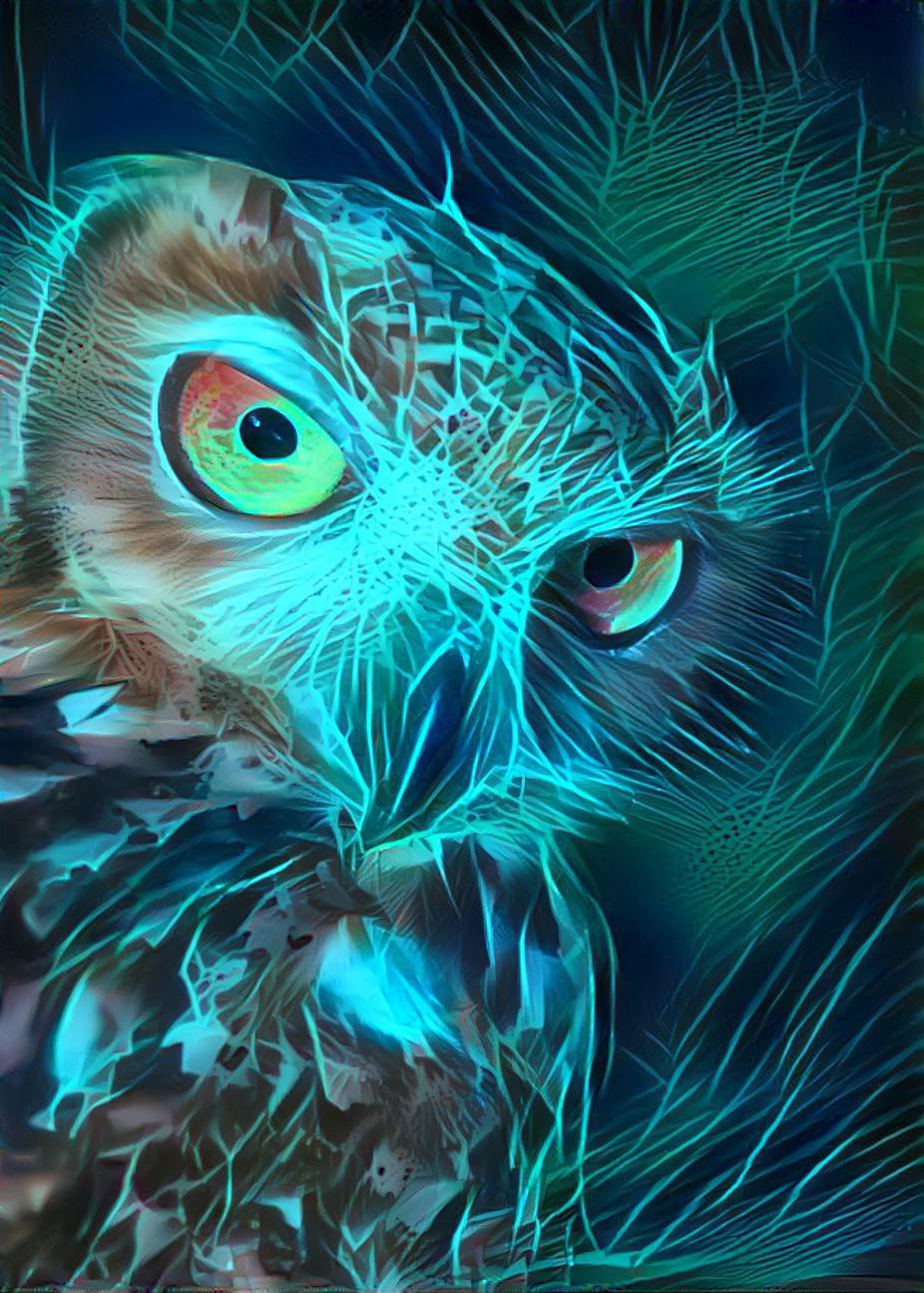 Teslas Owl