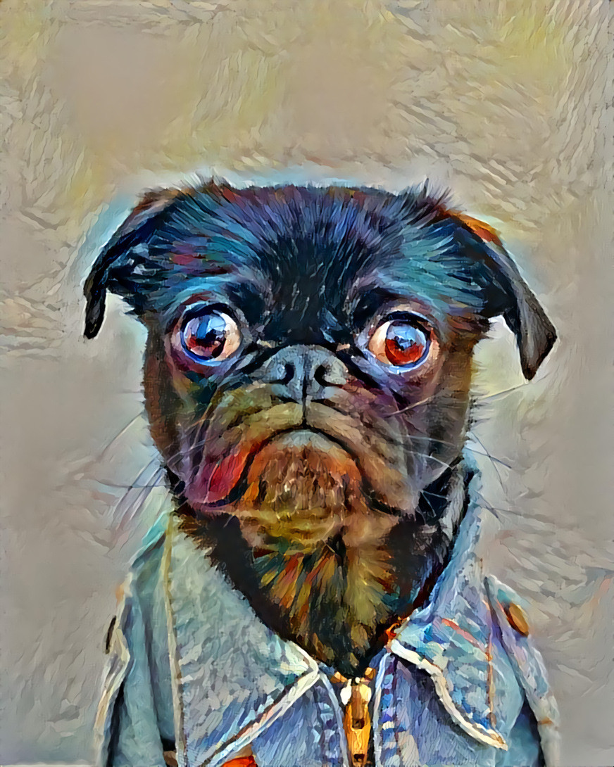 Pug V2. “Oh, no. Please tell me we’re not going out in public like this....”. Original photo by Charles Deluvio on Unsplash.