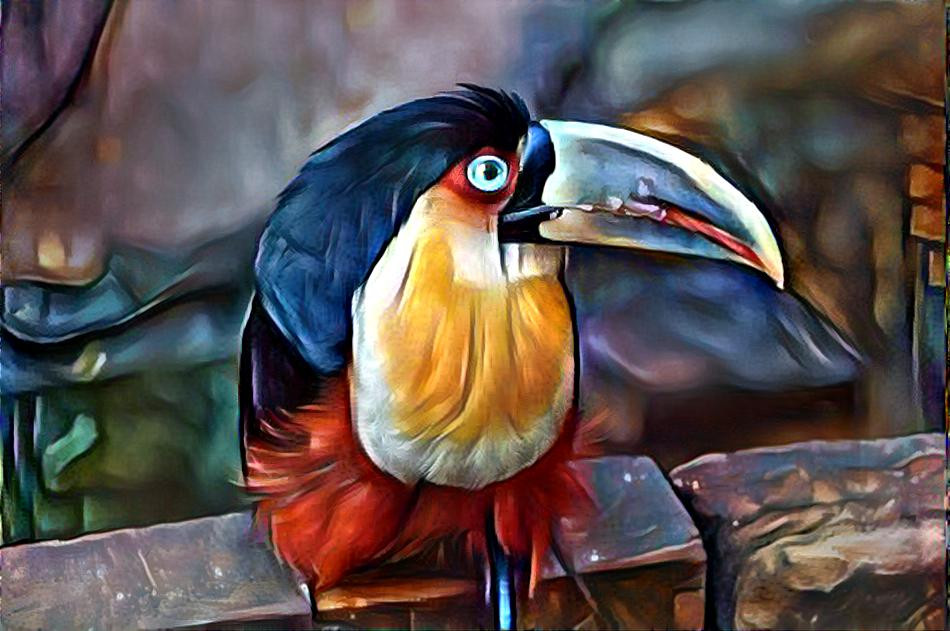 ~ Toucan, Untitled ~