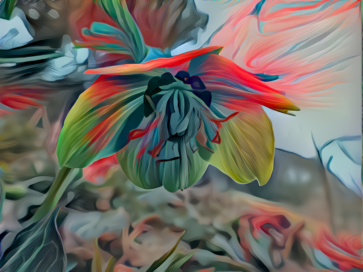 Helleborus 3 abstract_flowers_1