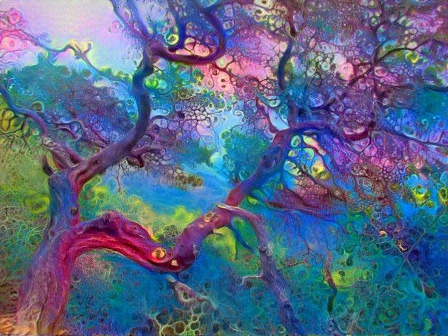 Manzanita x marbelized bubbled colors