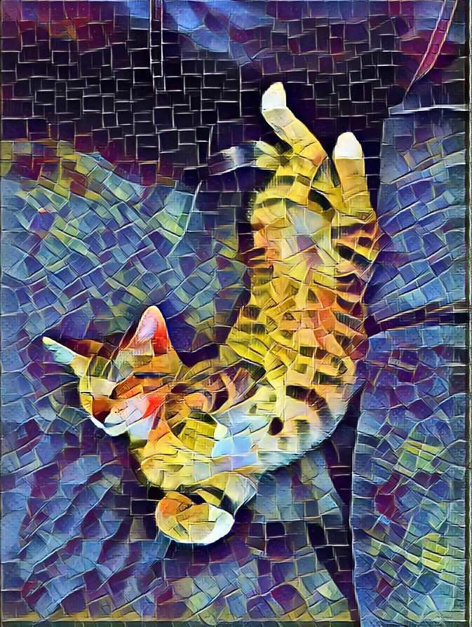 Oscar napping posture #437, mosaic