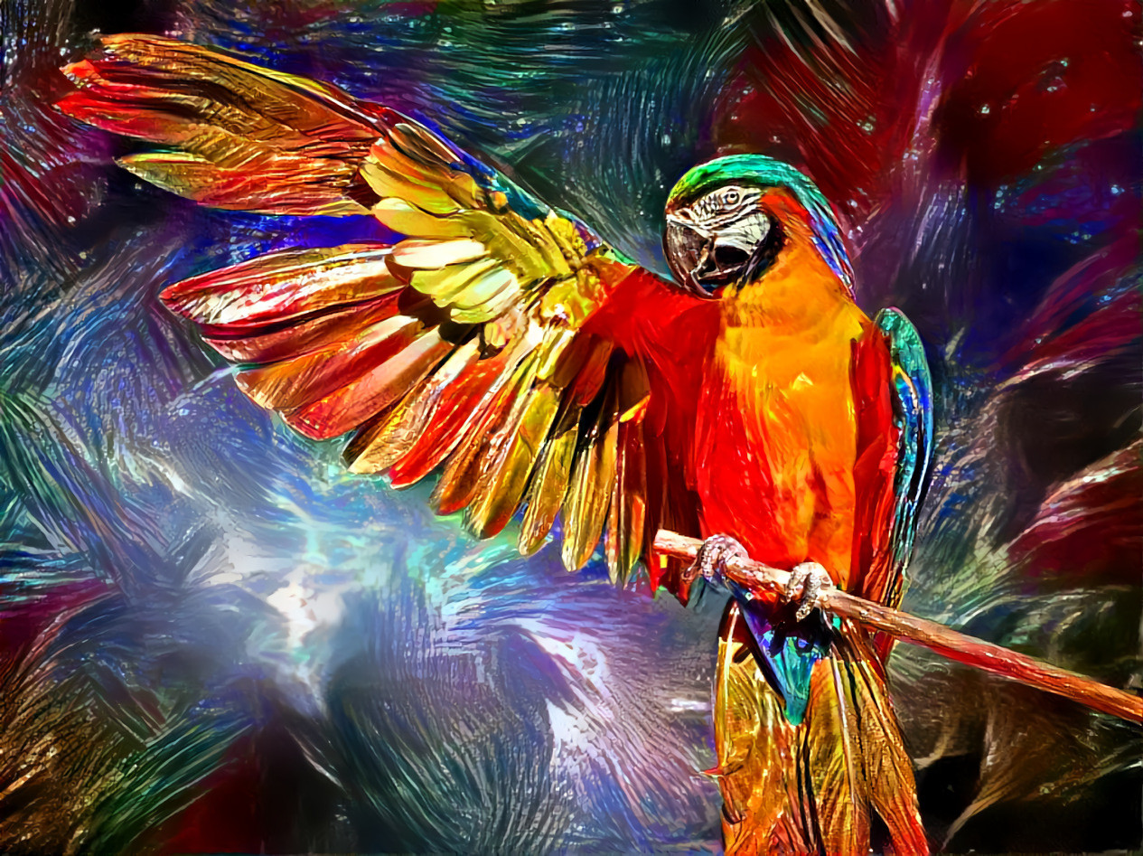 Painted Parrot 