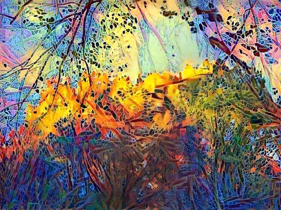Storm Shinine on Fall Color Treetops