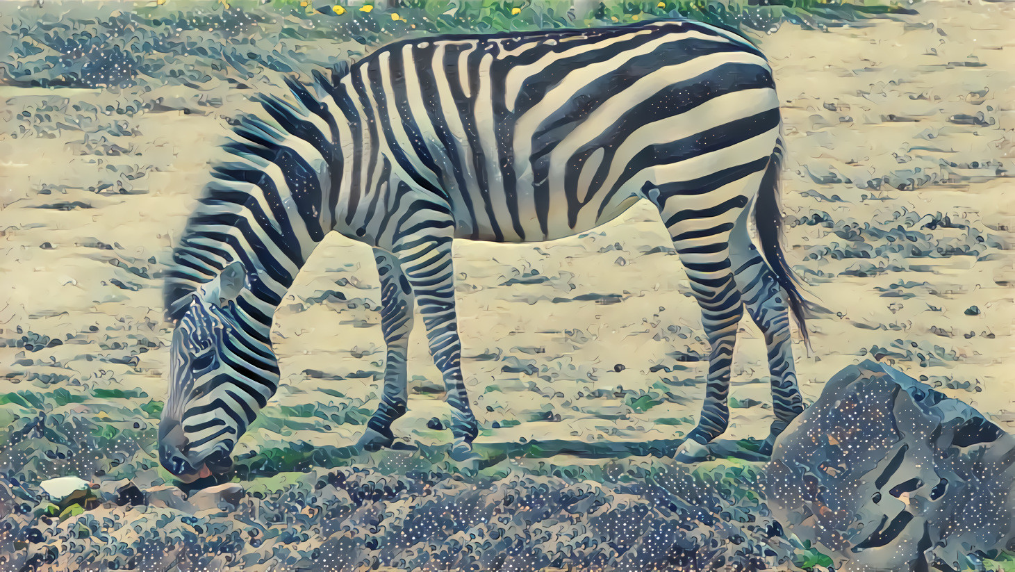 Thin-style Zebra