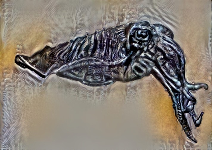 Giger Cuttlefish