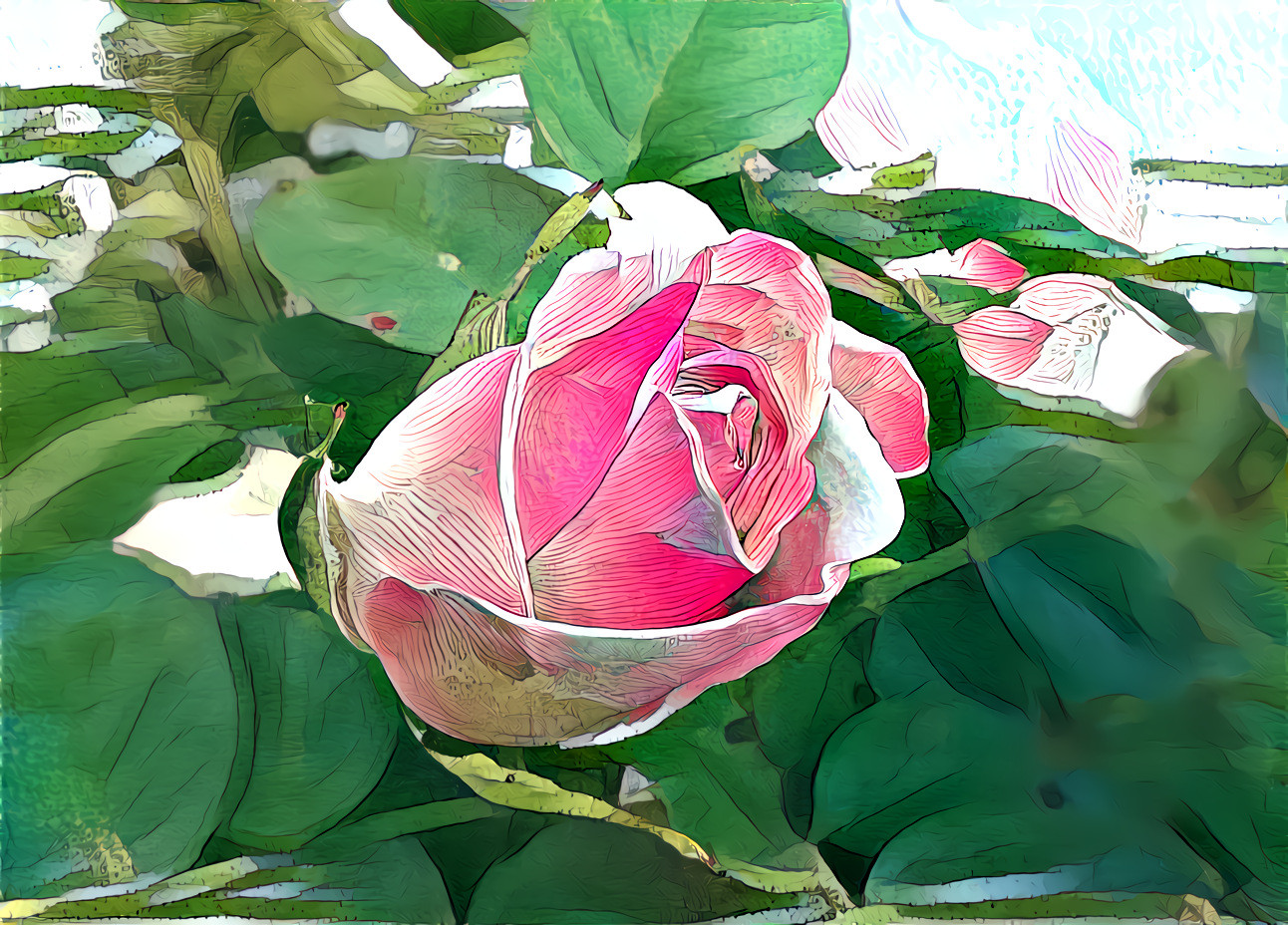 rosebud perfection