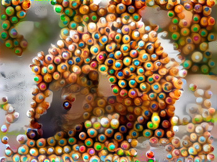Pencil Hedgehog
