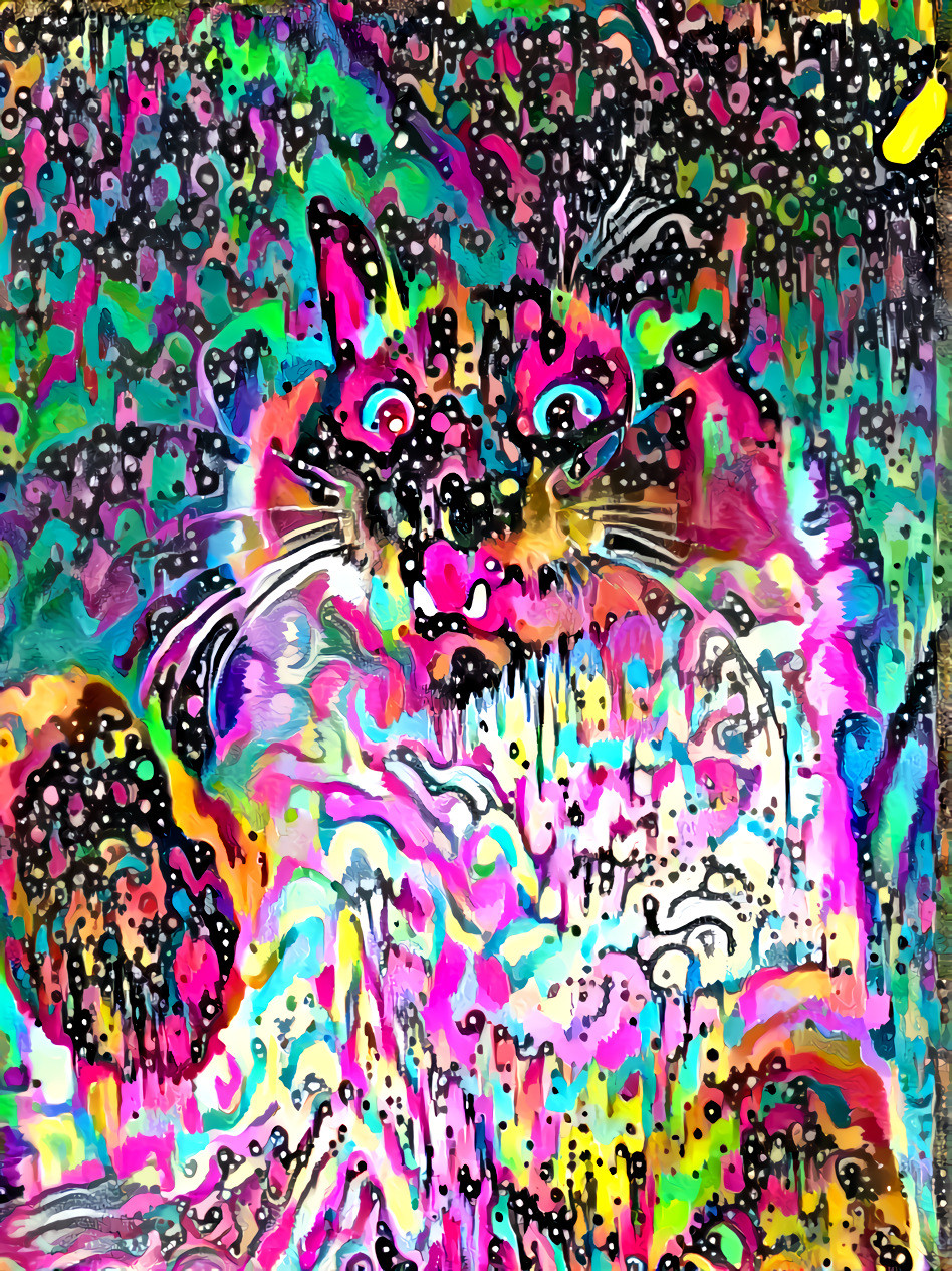 Space grafitti cat