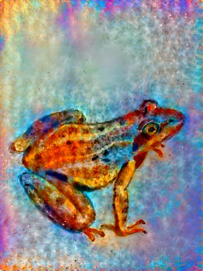 rainbow opal frog