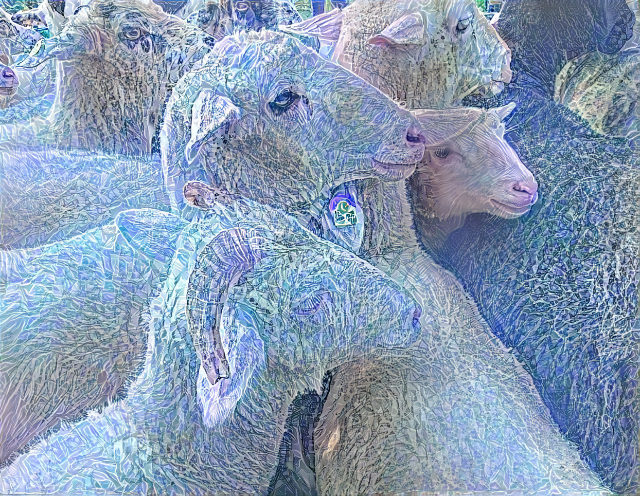 Sheep 10 renarenabefunky 810