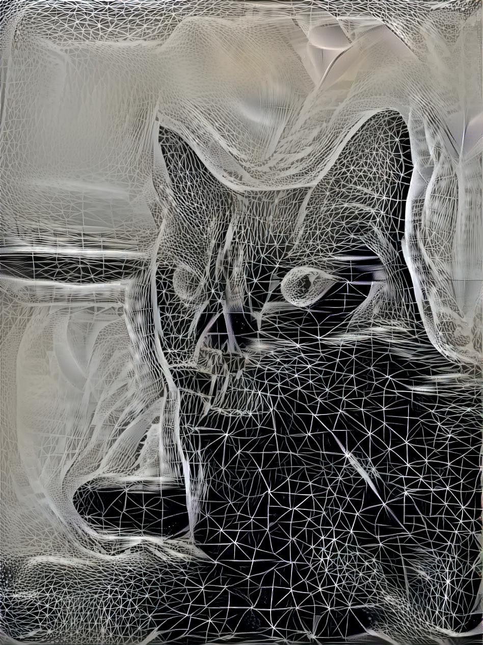 Lineart cat