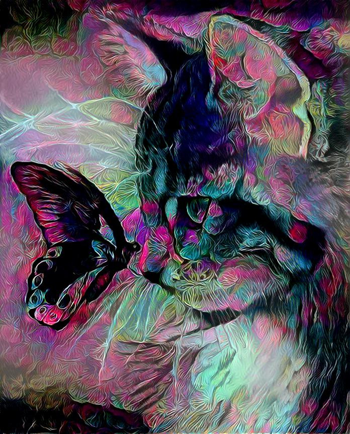A kitty and a butterfly