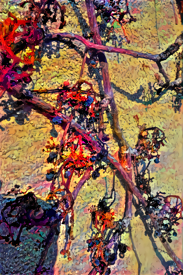 Parthenocissus 4 henri-edmond cross 2