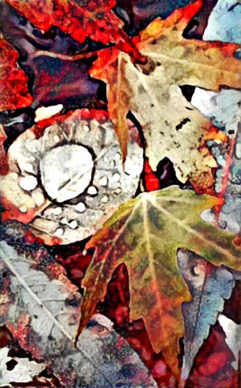  Warm Autumn Colour's ~ My Art/Style & Image
