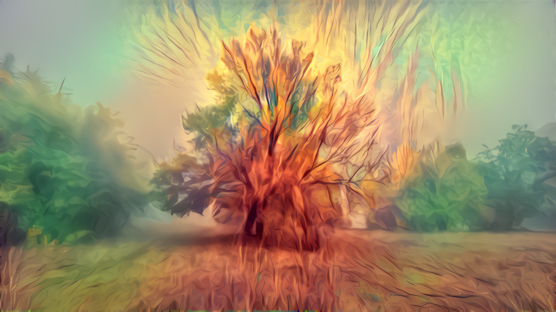The burning tree