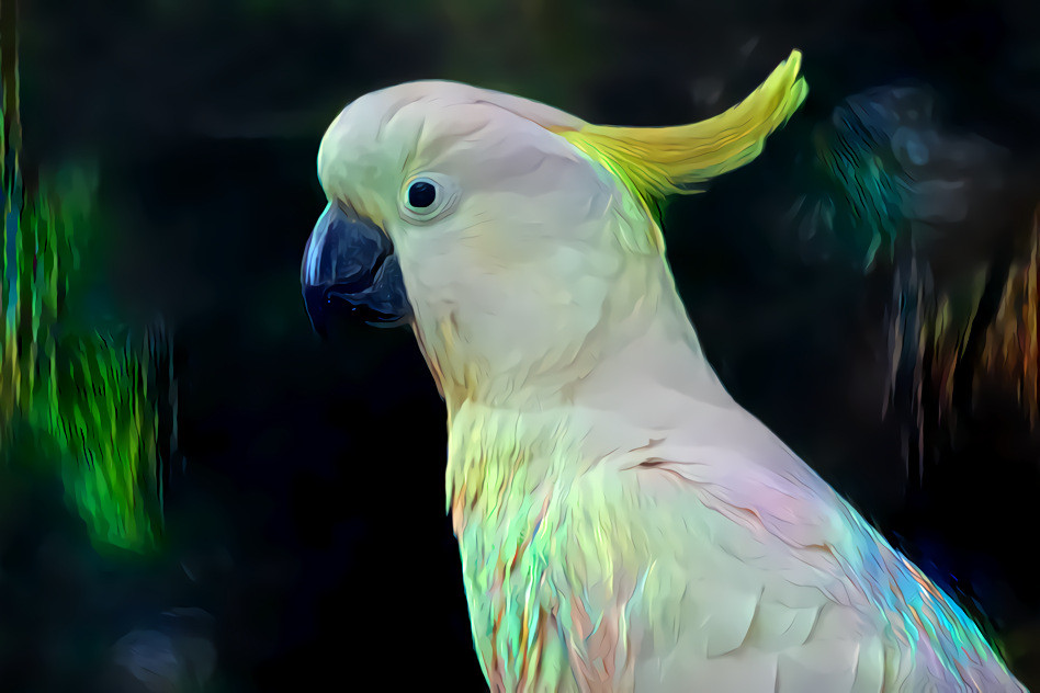 Redreaming Extinction Series: Sulpher Crested Cockatoo