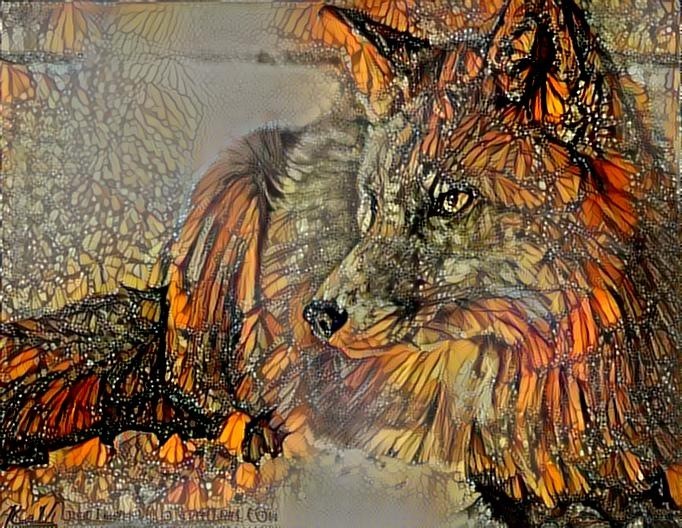 Fox Monarch
