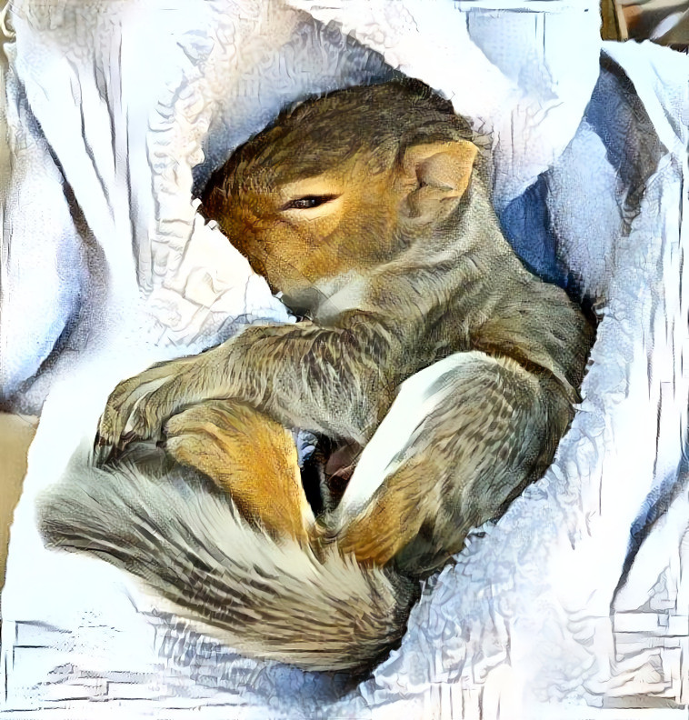 Snoozin Squirrel