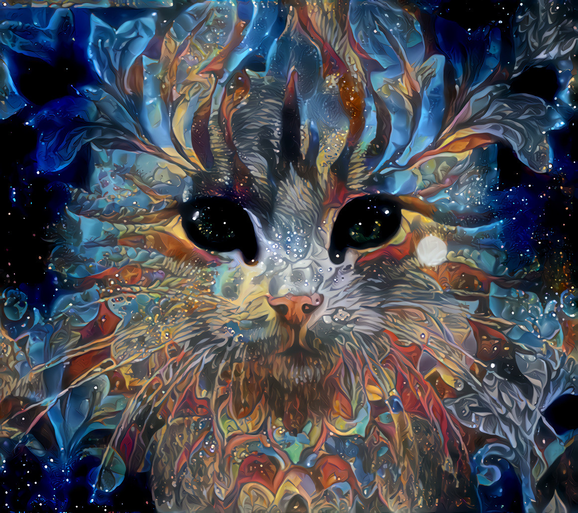 CAT. (3 filters artwork) 12/7_11p