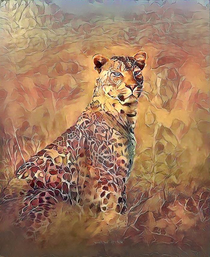 ~ Leopard, Untitled ~
