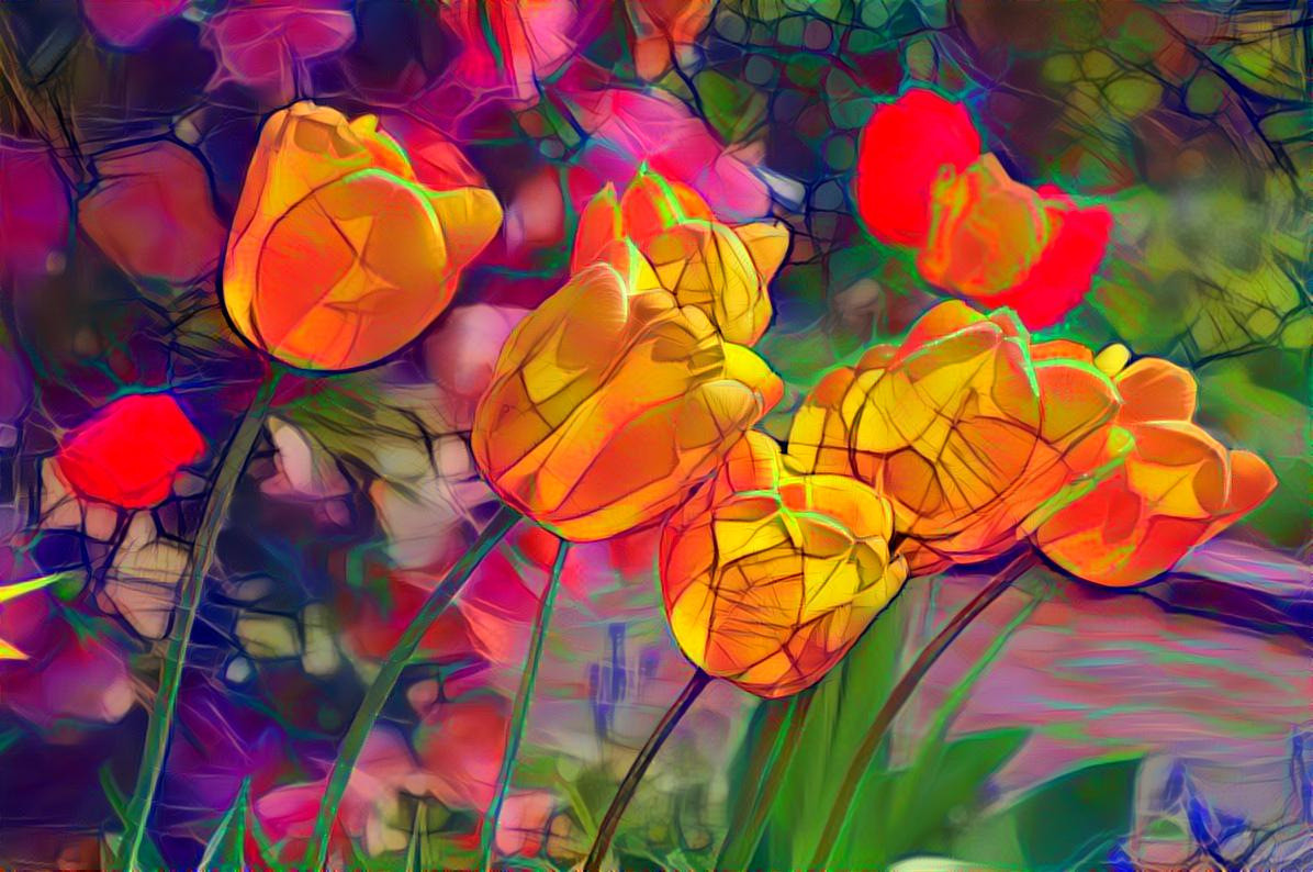 Tulpen im Kreislehrgarten