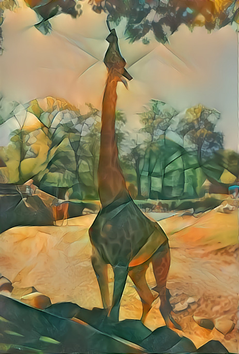 Giraffe in the ZOO, Emmen , Netherlands
