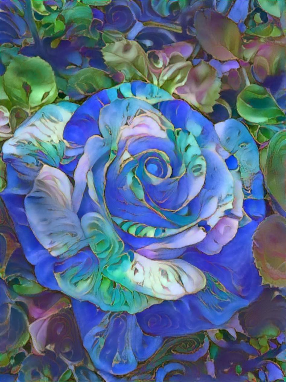 Bluetiful dream rose