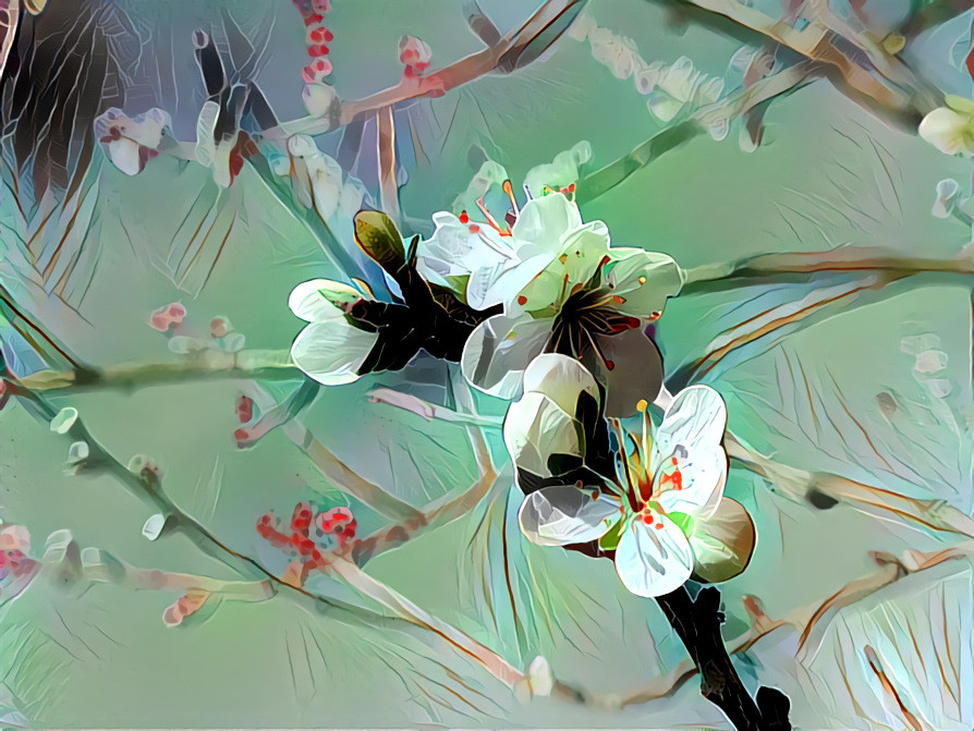 "Fresh Blossom" - by Unreal from own photo.