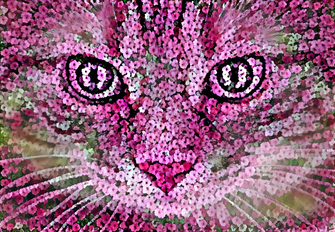 Cat made of Flowers