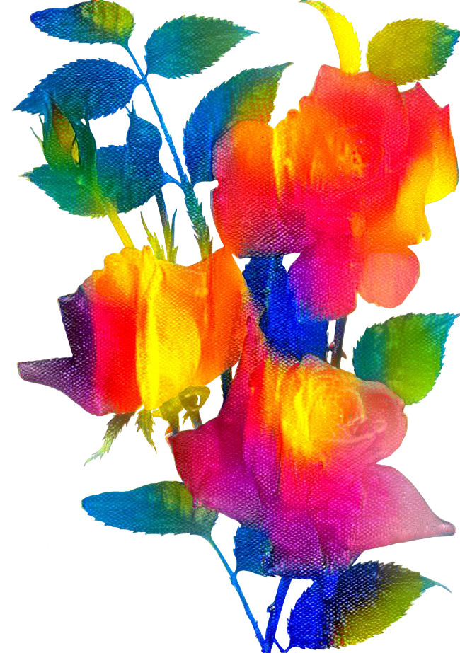 Abstract Rainbow Roses