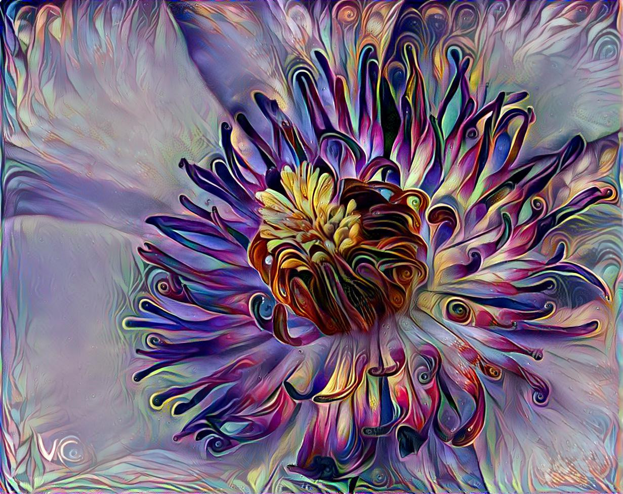 A Dream Of A Flower