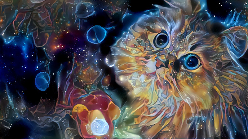 Astral Kitty