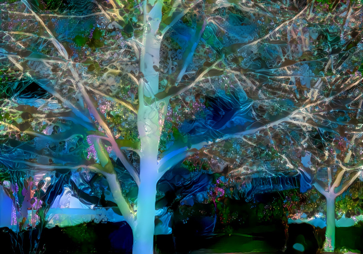 Dreaming Winter Tree 010919