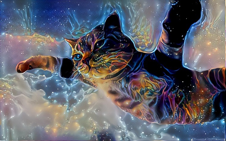 Space Kitty In Flight
