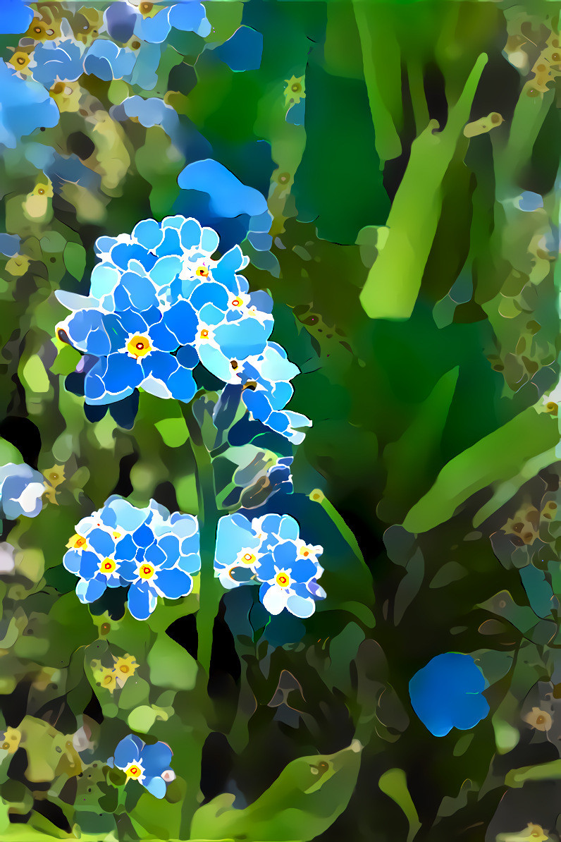 Forget-me-not 1 overlaid 2 forget-me-not 1