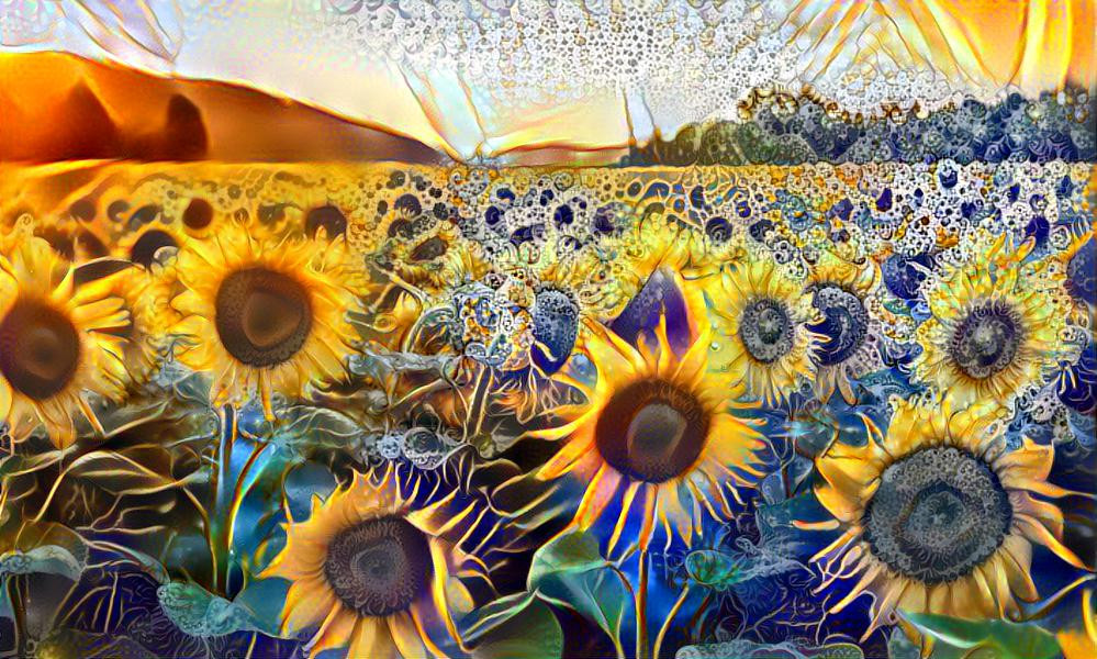 Just sunflowers