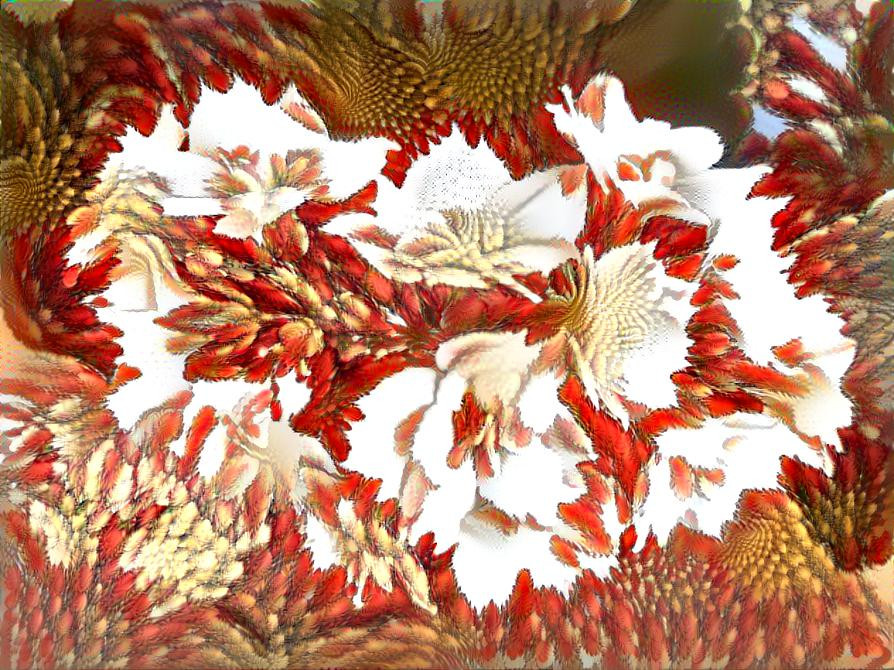 Bloemen, fractals