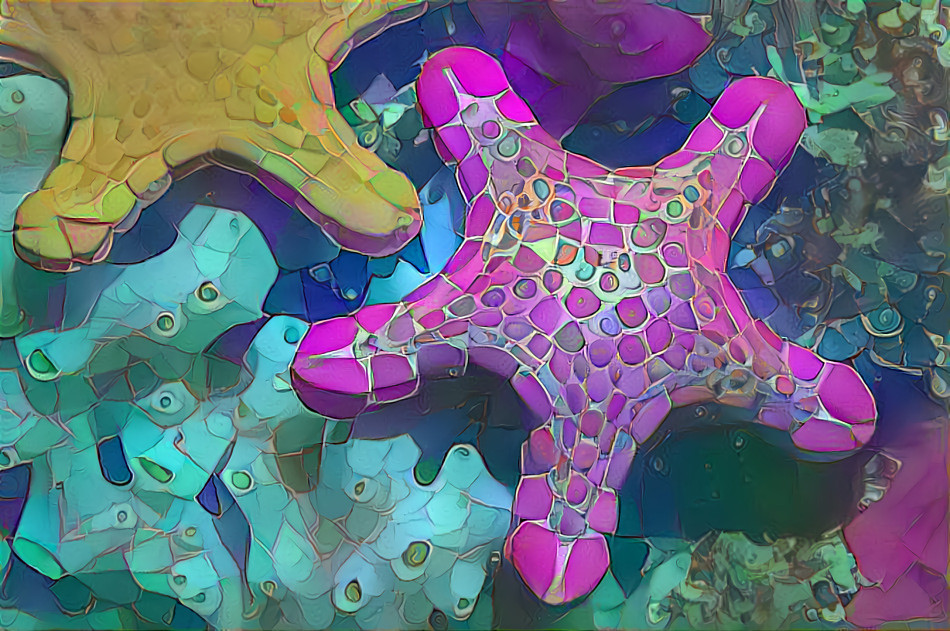 Dreamy Starfish