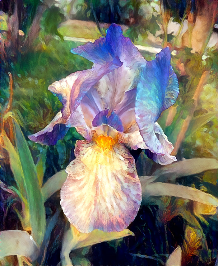 Painterly Iris